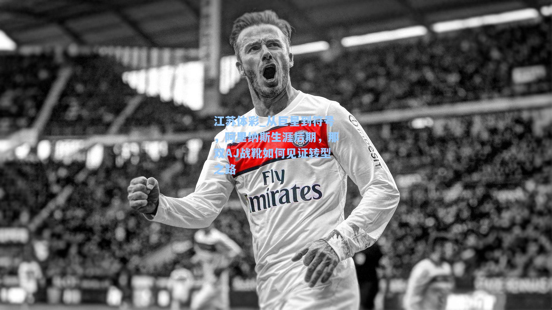 从巨星到符号，阿里纳斯生涯后期，那双AJ战靴如何见证转型之路