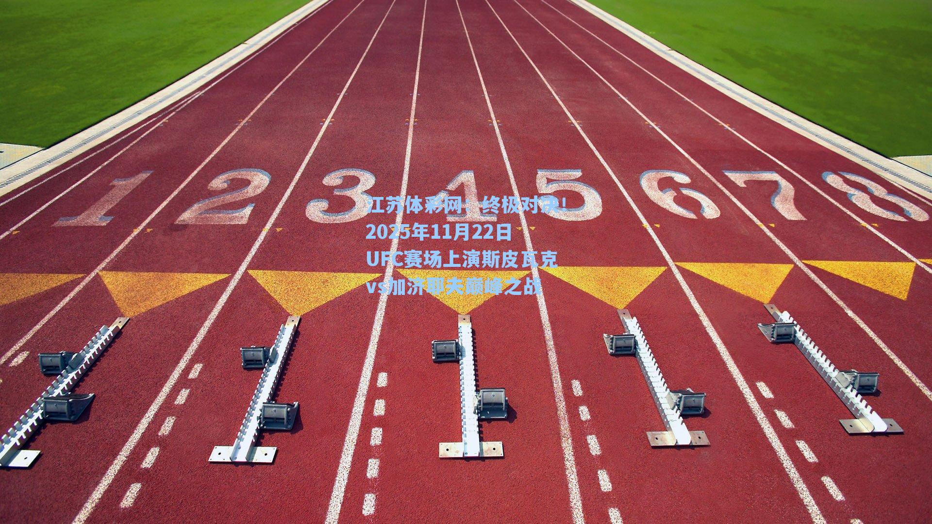 终极对决！2025年11月22日UFC赛场上演斯皮瓦克vs加济耶夫巅峰之战